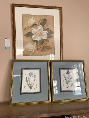 Lot #563 (1 of 11)