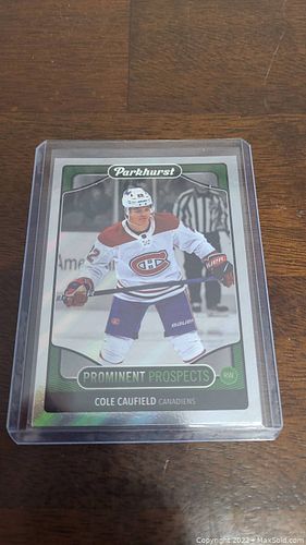 Lot #97 (1 of 2)