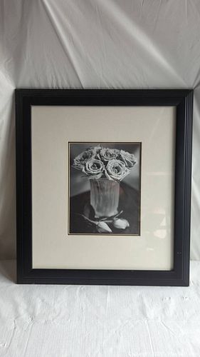 Lot #48 (1 of 3)