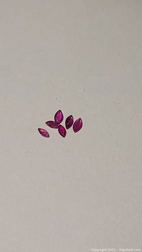 Lot #22 (1 of 12)