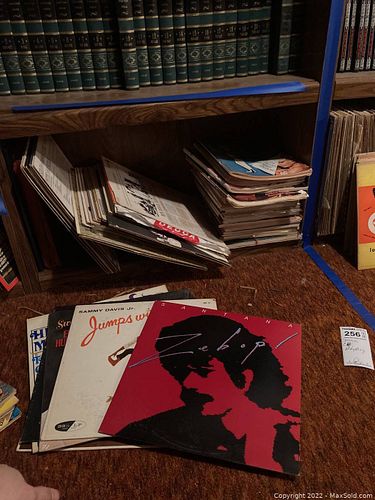 Lot #256 (1 of 14)