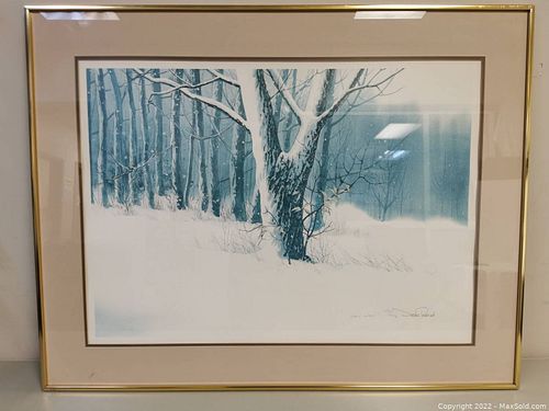 Lot #15 (1 of 6)