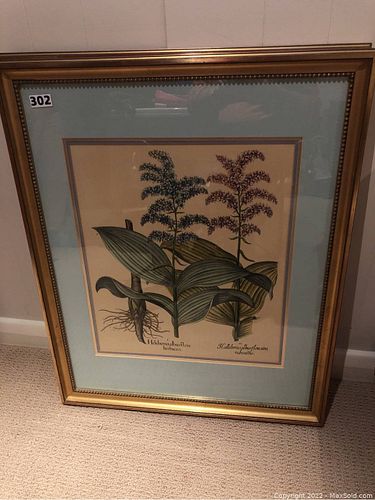 Lot #302 (1 of 3)
