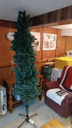 Lot #569 (1 of 7)