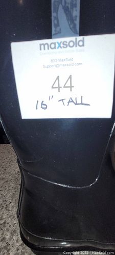 Lot #44 (1 of 5)