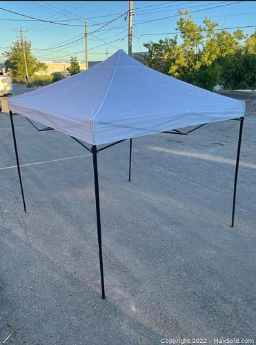Lot #36 (1 of 3)