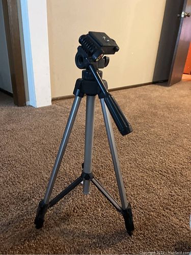 Lot #125 (1 of 1)