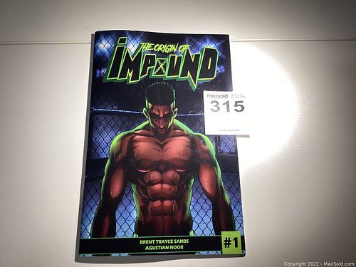 Lot #315 (1 of 2)