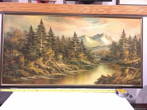 Lot #41 (1 of 5)