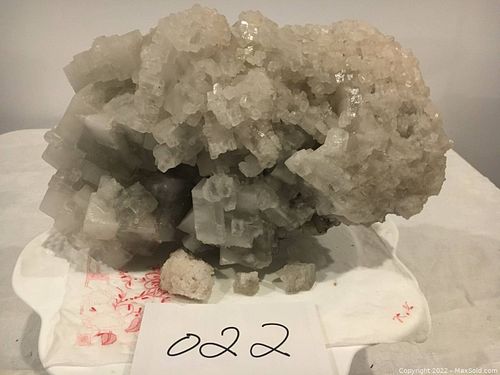 Lot #22 (1 of 9)