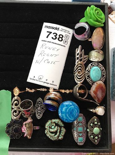 Lot #738 (1 of 9)