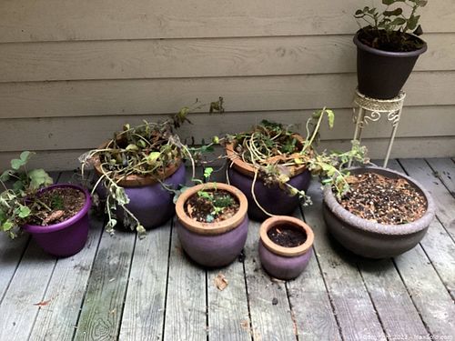 Lot #66 (1 of 5)