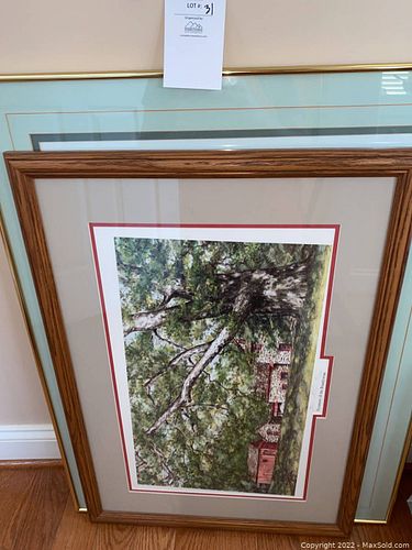 Lot #31 (1 of 8)