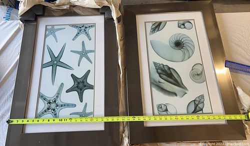 Lot #21 (1 of 8)