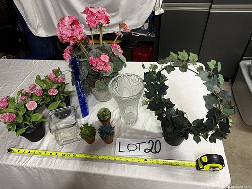 Lot #20 (1 of 11)