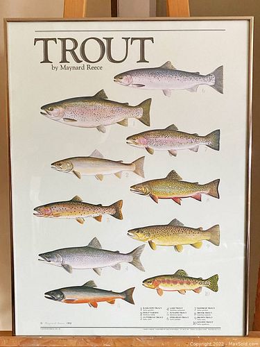 Lot #60 (1 of 25)