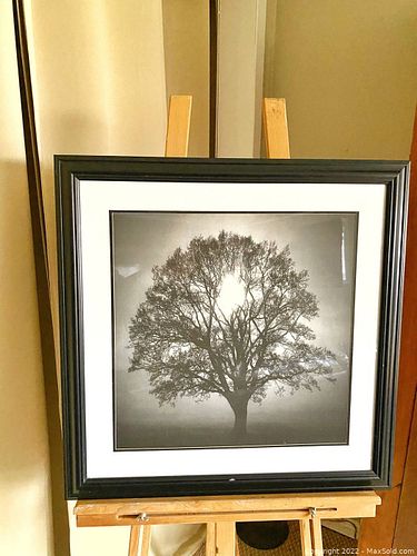 Lot #63 (1 of 17)