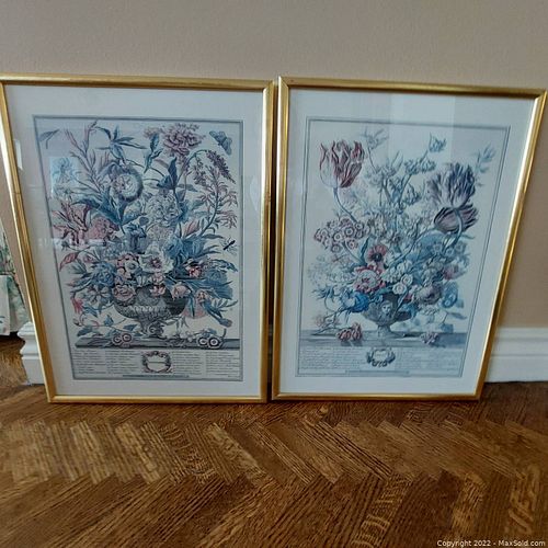 Lot #51 (1 of 4)