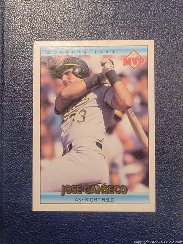 Lot #17 (1 of 2)