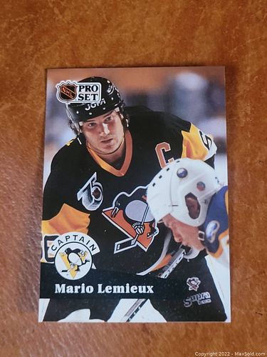 Lot #42 (1 of 2)