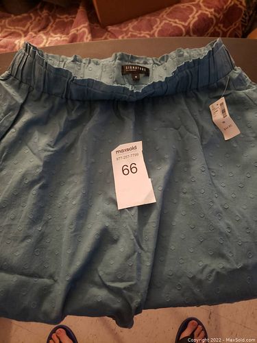 Lot #66 (1 of 3)