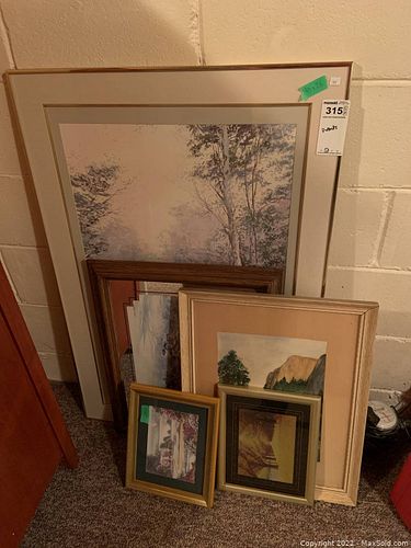Lot #315 (1 of 14)