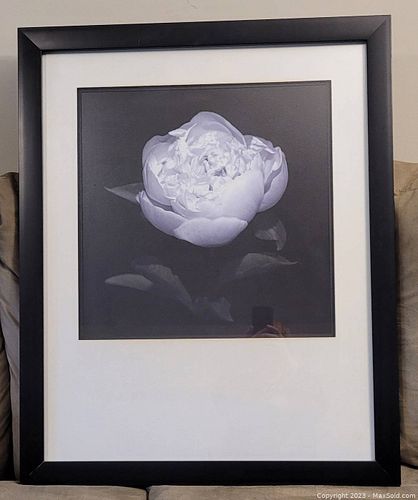 Lot #189 (1 of 1)