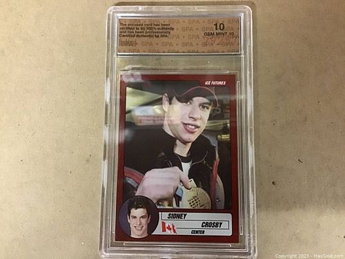 Lot #203 (1 of 2)