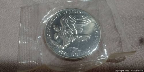 Lot #25 (1 of 2)