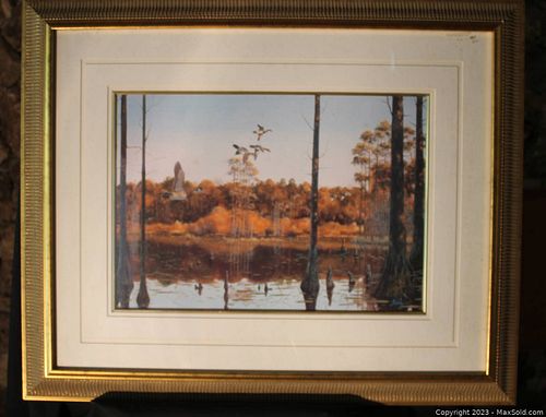 Lot #23 (1 of 1)