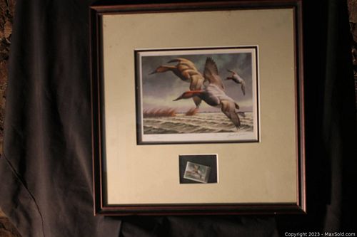 Lot #37 (1 of 1)