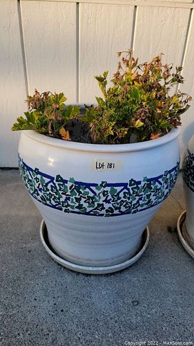 Lot #181 (1 of 2)