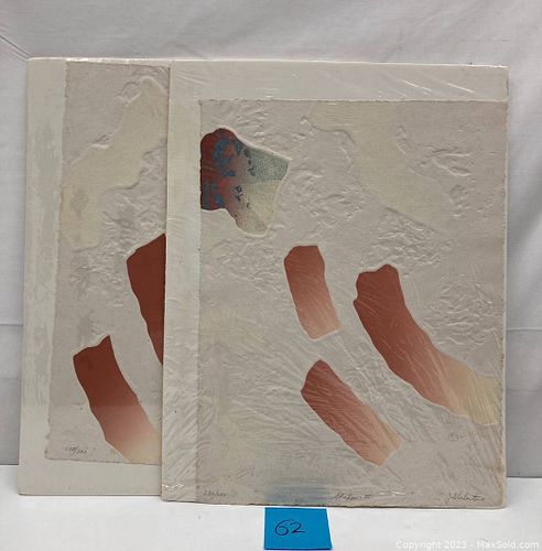 Lot #62 (1 of 13)