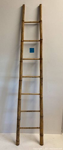 Lot #24 (1 of 10)