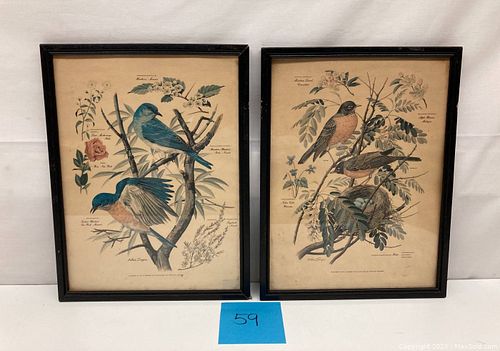 Lot #59 (1 of 7)
