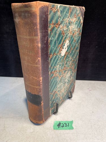 Lot #231 (1 of 2)