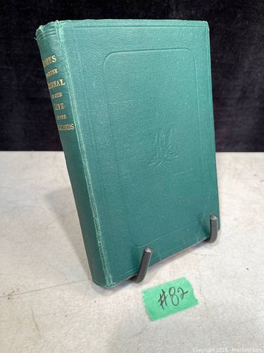 Lot #82 (1 of 2)