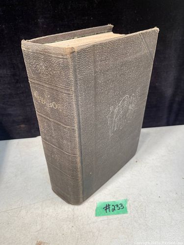 Lot #233 (1 of 2)