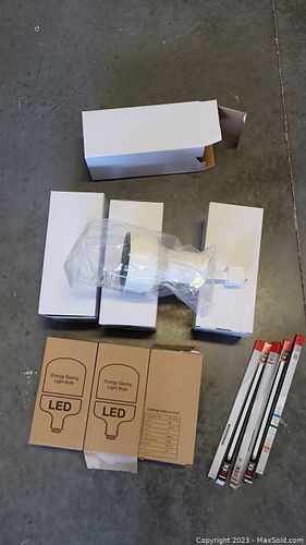 Lot #42 (1 of 8)