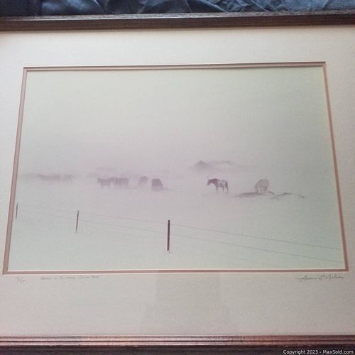 Lot #9 (1 of 4)