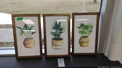 Lot #45 (1 of 5)