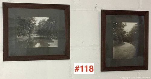 Lot #118 (1 of 12)