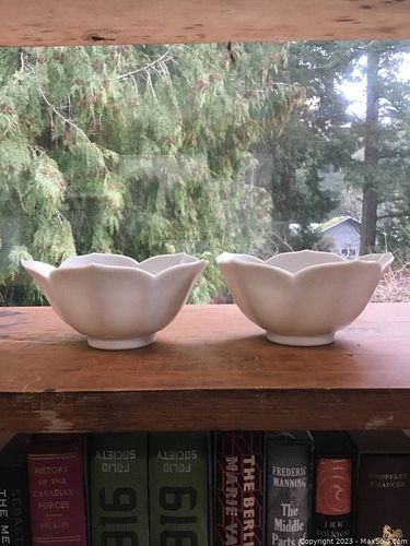 Lot #44 (1 of 3)