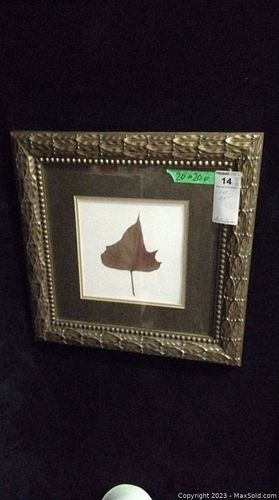Lot #14 (1 of 8)