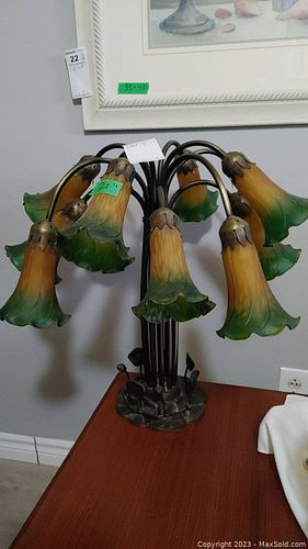 Lot #20 (1 of 7)