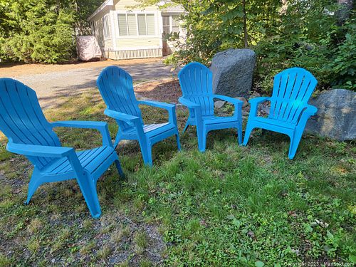 Lot #428 (1 of 10)