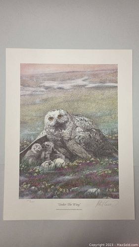 Lot #43 (1 of 5)