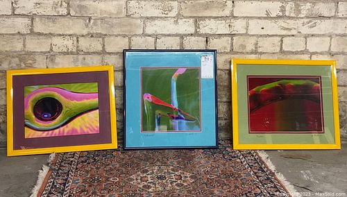 Lot #29 (1 of 7)
