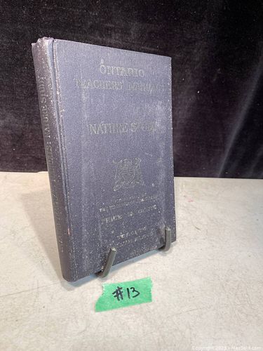 Lot #13 (1 of 2)