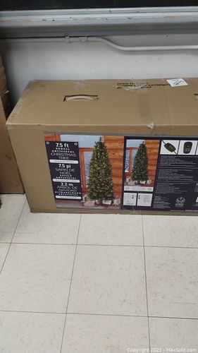 Lot #38 (1 of 5)
